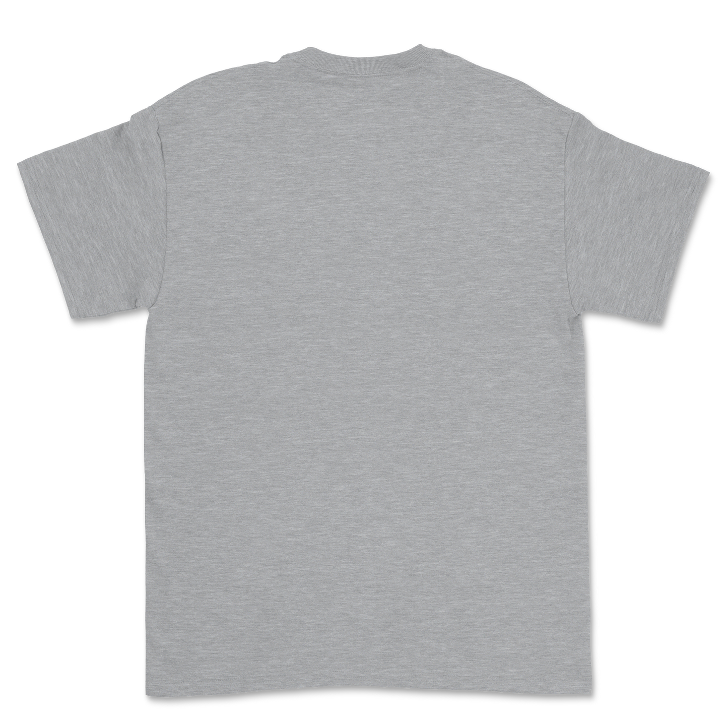 Nasty Lite T-Shirt Grey